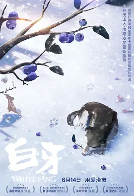 bobo浏览器破解老版本使用方法